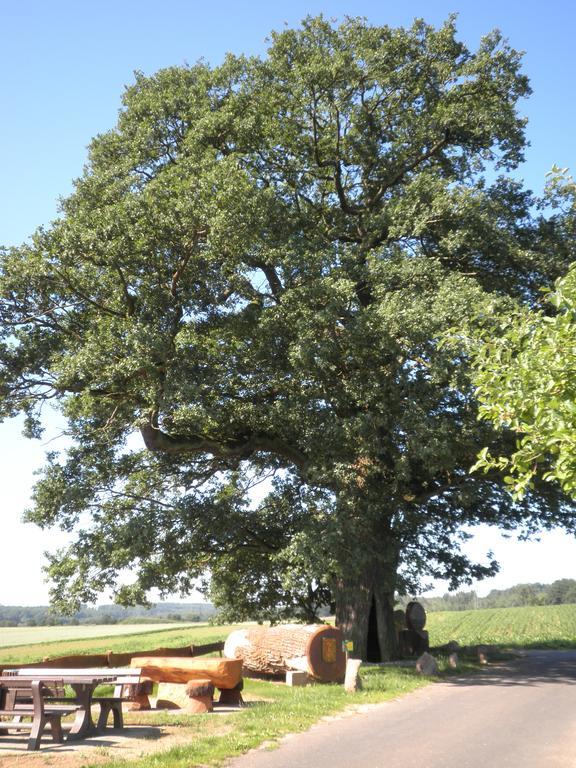 Fewo Traut Wittlich Exterior foto